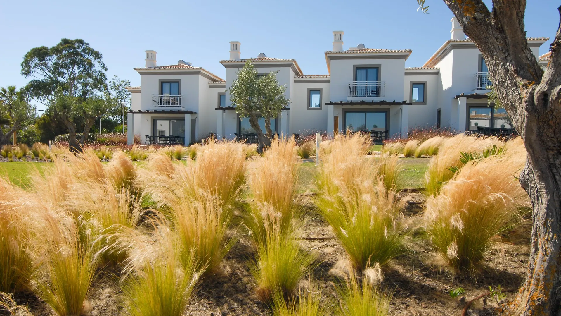 Resort Quinta Do Algarvio Village Carvoeiro